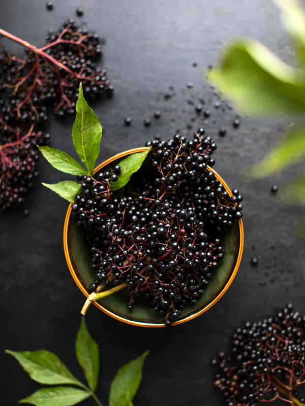 How Elderberry Vitamin C & Zinc Protect the Immune System