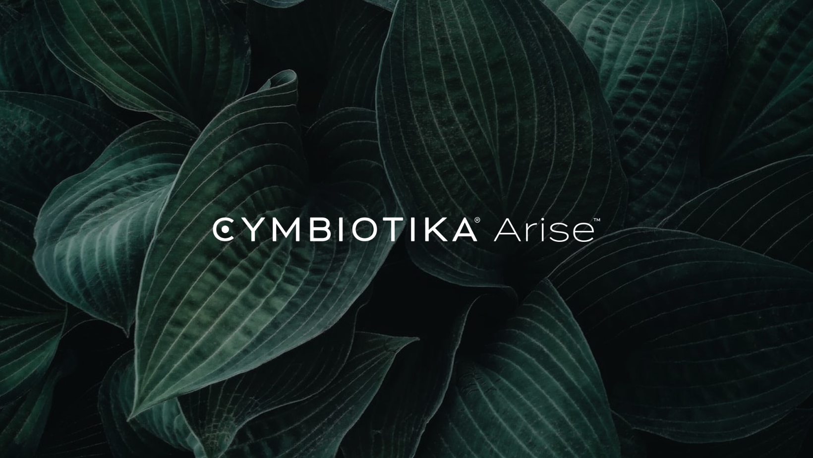 Introducing Arise™