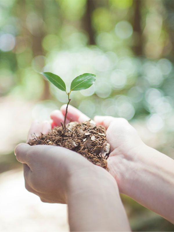 The Art of Grounding/Earthing & Its Benefits