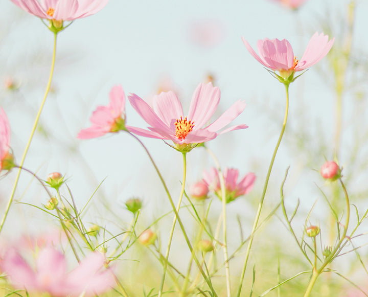 earth month sustainability tips