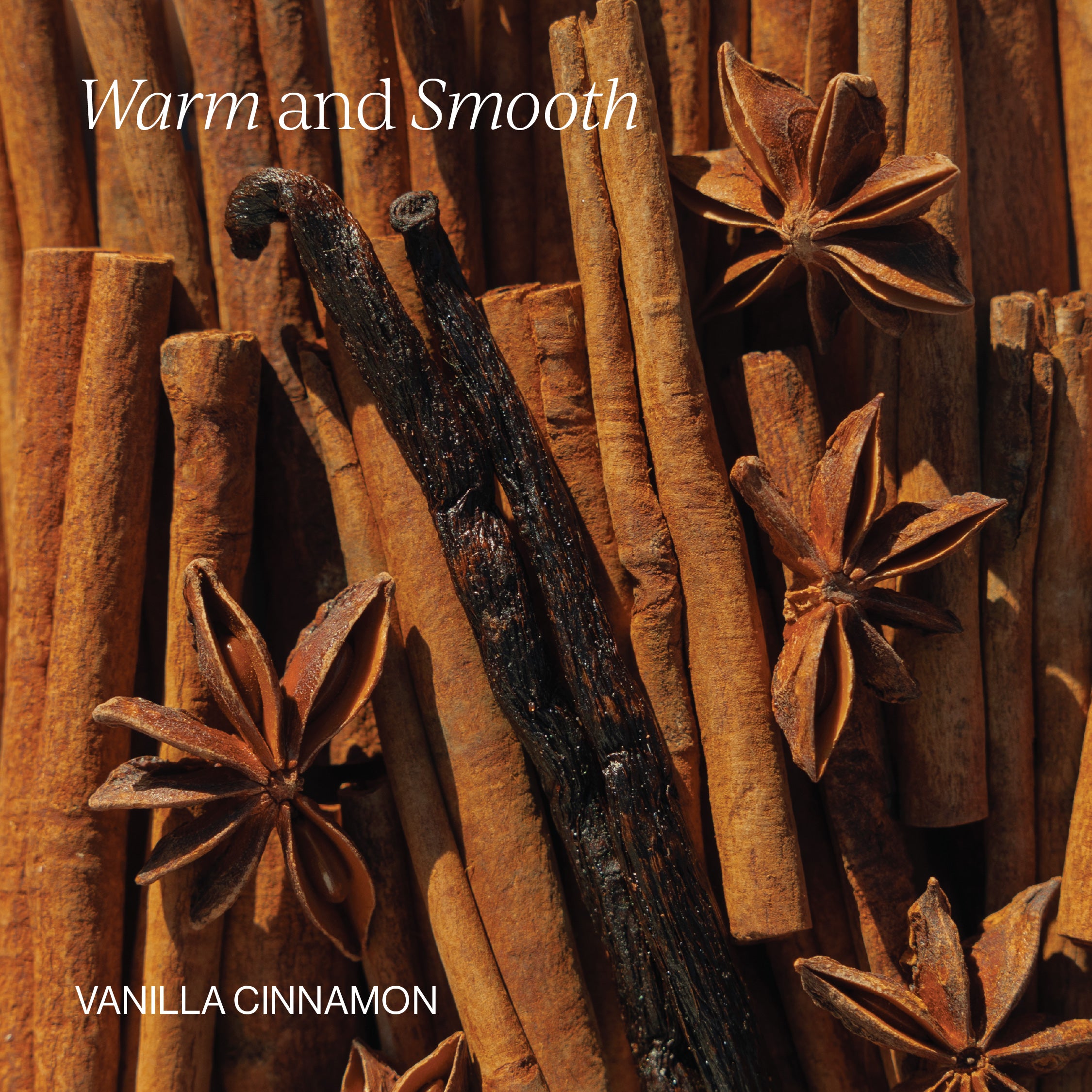 Liposomal Brain Complex